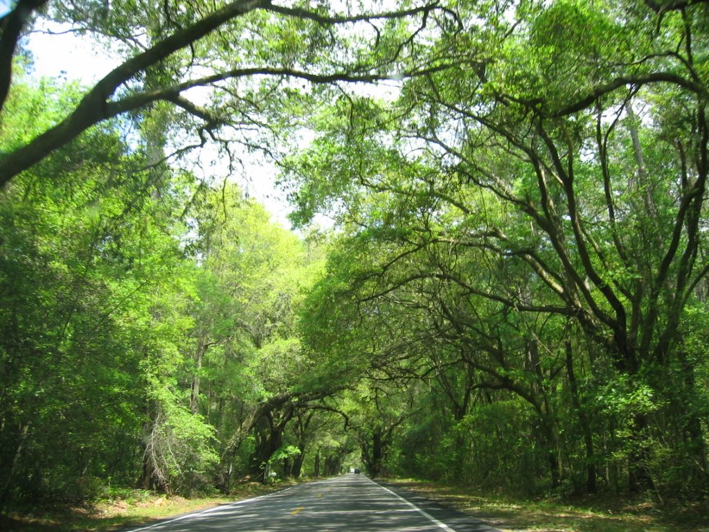 Approaching Kiawah